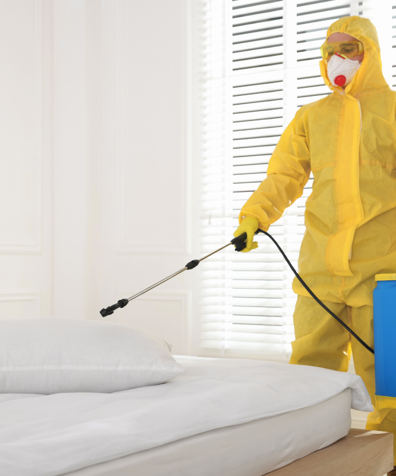 Professional Pest Control Team in Basket Range